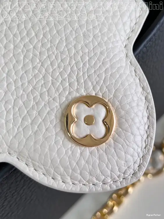 VUITTON LOUIS CAPUCINES MINI-21*14*8CM 0529